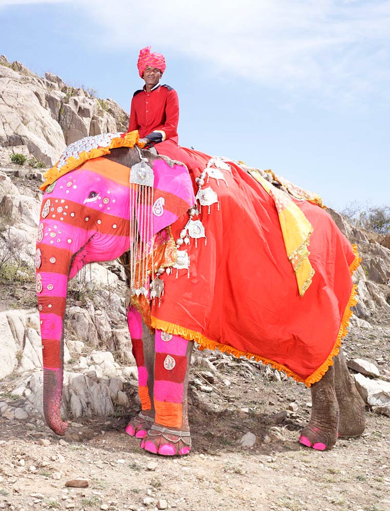 слоновий макияж, макияж слонов, фестиваль раскрашенных слонов, тюнинг слонов