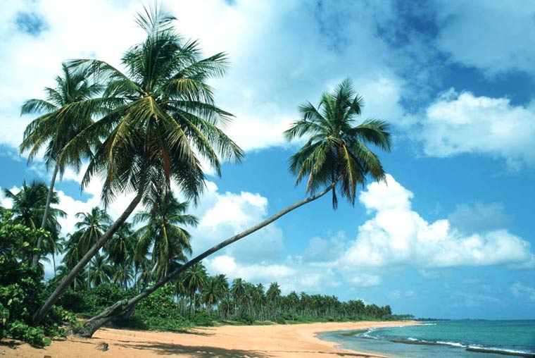 боди-арт маскировка, Филиппо Локо, Filippo Ioco, найти людей в пейзажах боди-арт, боди-арт пейзажи