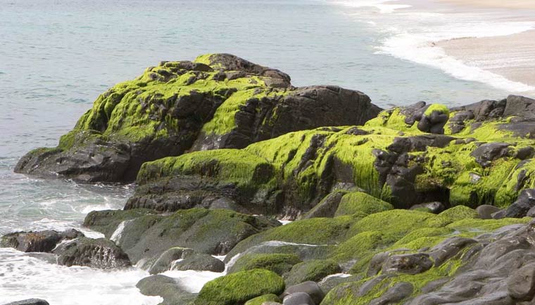 боди-арт маскировка, Филиппо Локо, Filippo Ioco, найти людей в пейзажах боди-арт, боди-арт пейзажи