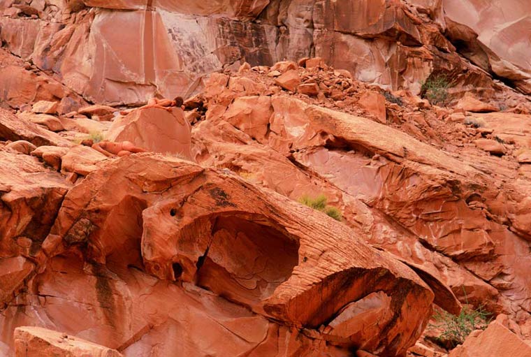 боди-арт маскировка, Филиппо Локо, Filippo Ioco, найти людей в пейзажах боди-арт, боди-арт пейзажи