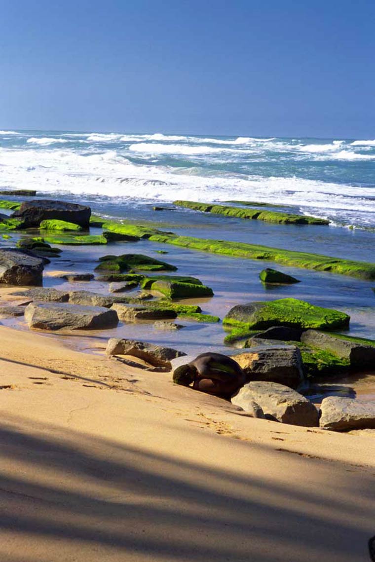 боди-арт маскировка, Филиппо Локо, Filippo Ioco, найти людей в пейзажах боди-арт, боди-арт пейзажи