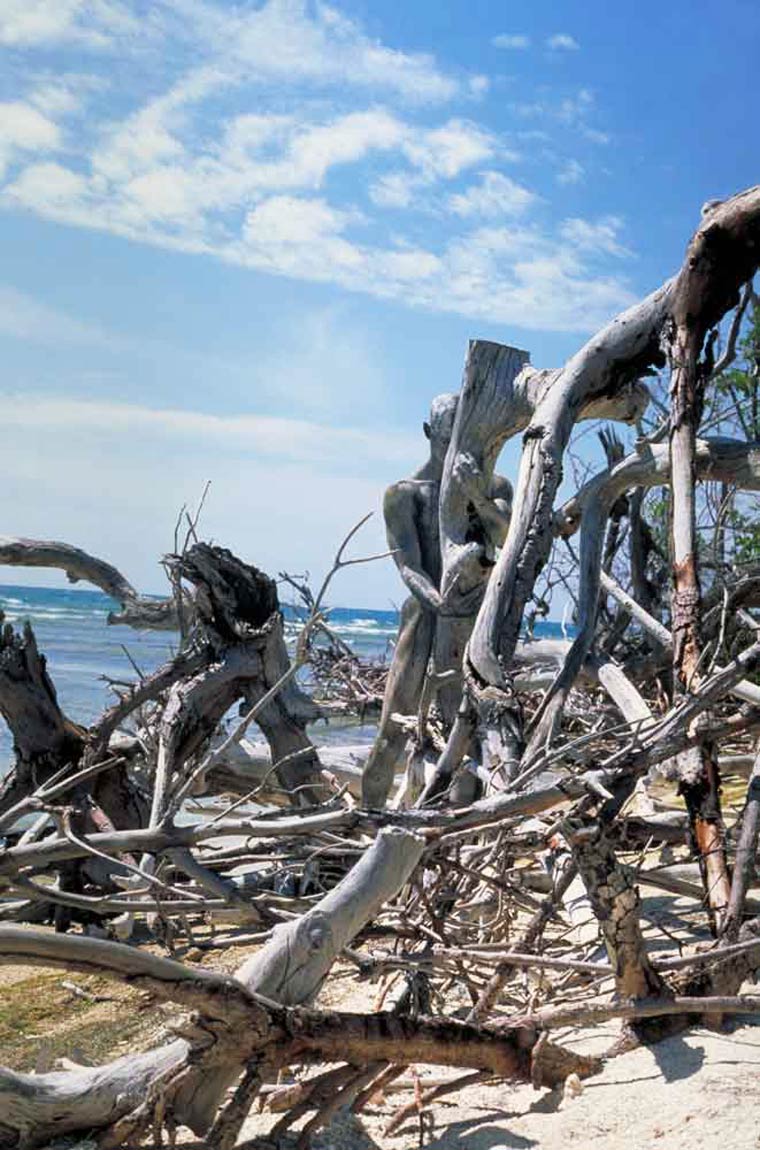 боди-арт маскировка, Филиппо Локо, Filippo Ioco, найти людей в пейзажах боди-арт, боди-арт пейзажи