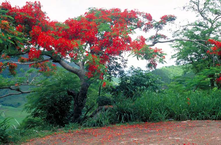 боди-арт маскировка, Филиппо Локо, Filippo Ioco, найти людей в пейзажах боди-арт, боди-арт пейзажи