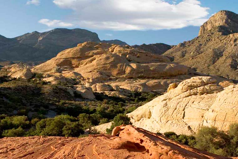 боди-арт маскировка, Филиппо Локо, Filippo Ioco, найти людей в пейзажах боди-арт, боди-арт пейзажи