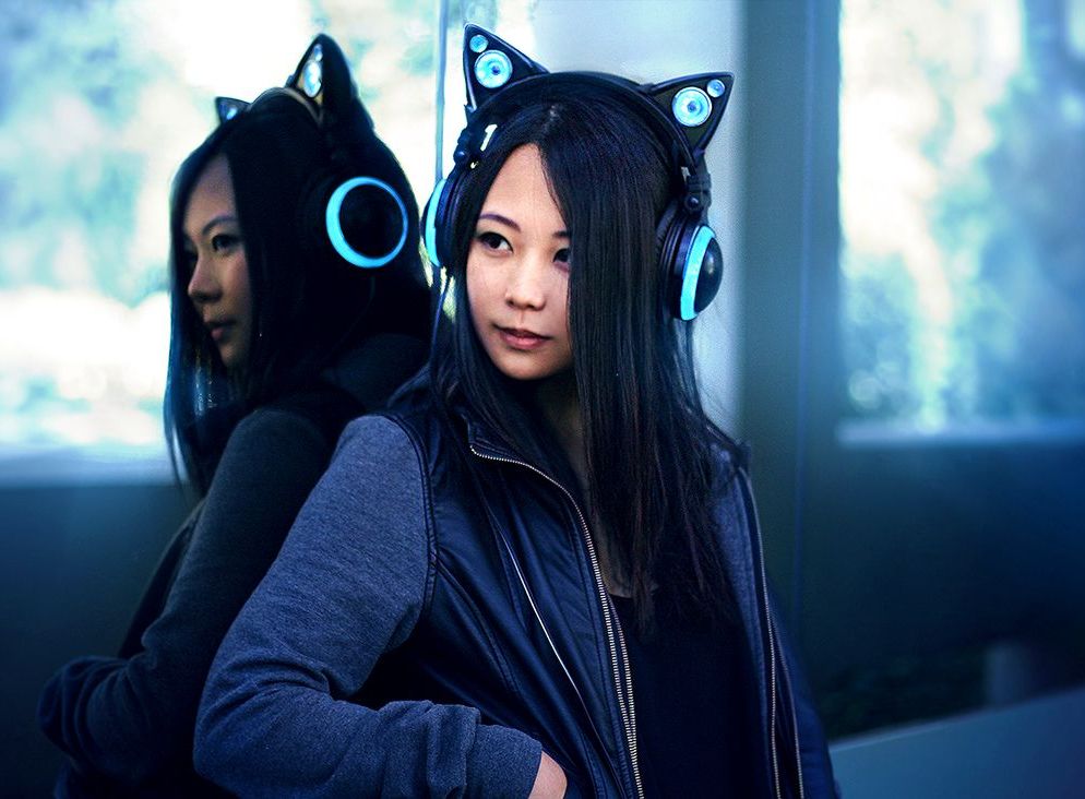 подарки для любителей кошек, вещи с котами