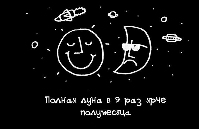 факты в картинках, факты обо всём