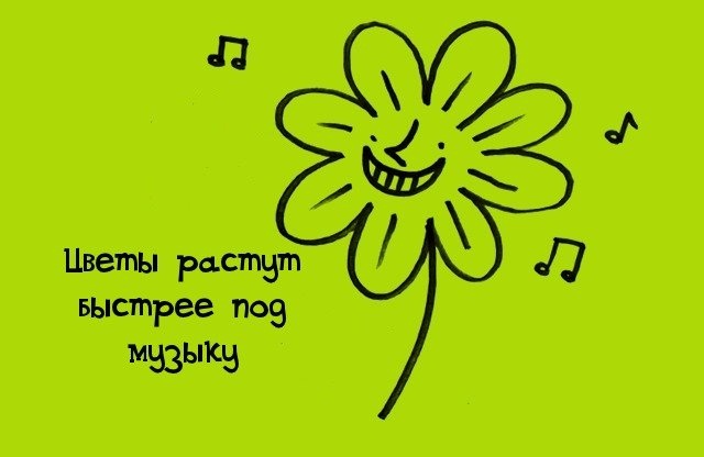 факты в картинках, факты обо всём