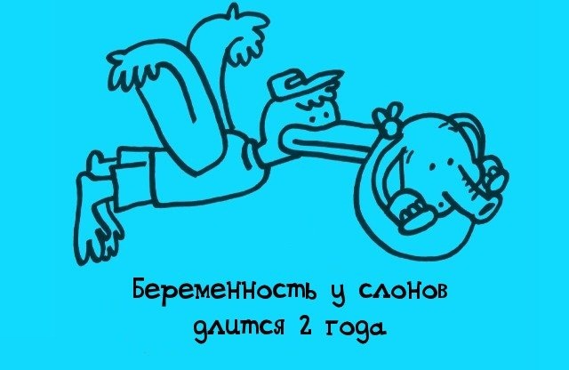 факты в картинках, факты обо всём