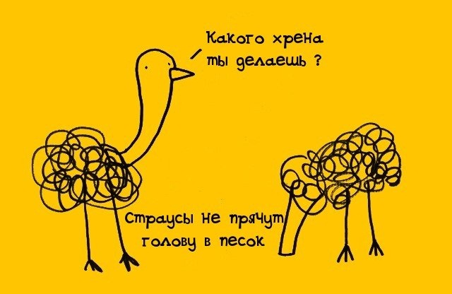 факты в картинках, факты обо всём