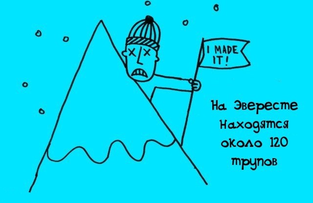 факты в картинках, факты обо всём