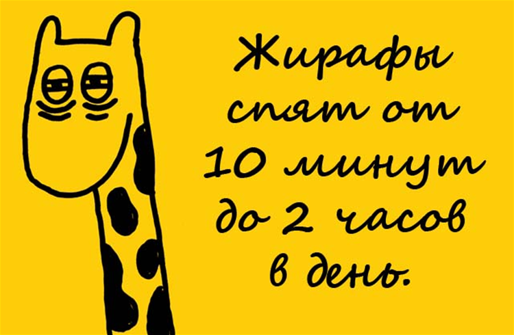 Факты на картинках