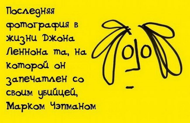 факты в картинках, факты обо всём