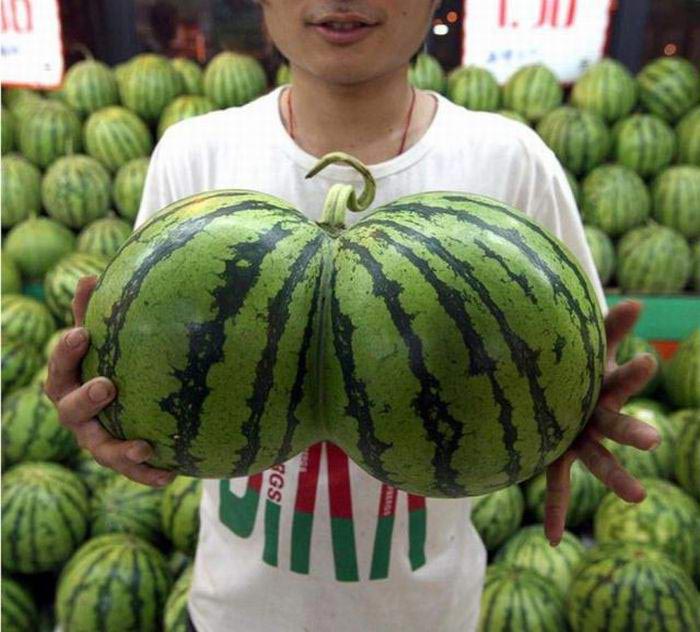 продукты которые нельзя хранить в холодильнике, не хранить в холодильнике