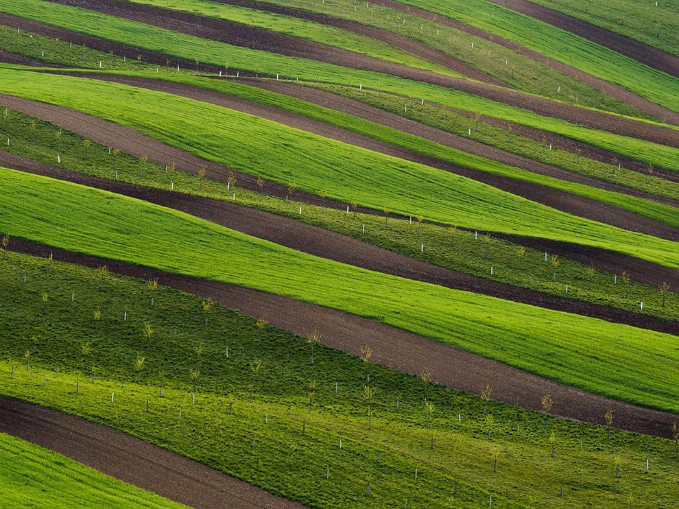 National Geographic, лучшие фотографии National Geographic, National Geographic за июнь 2015