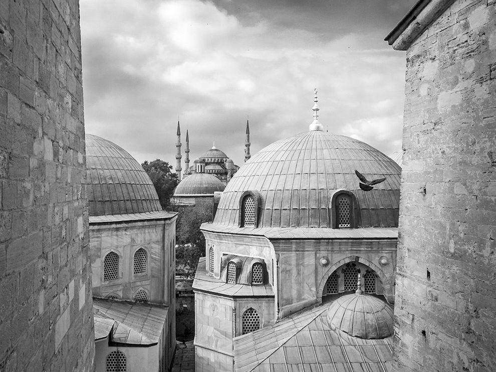 National Geographic, лучшие фотографии National Geographic, National Geographic за июнь 2015