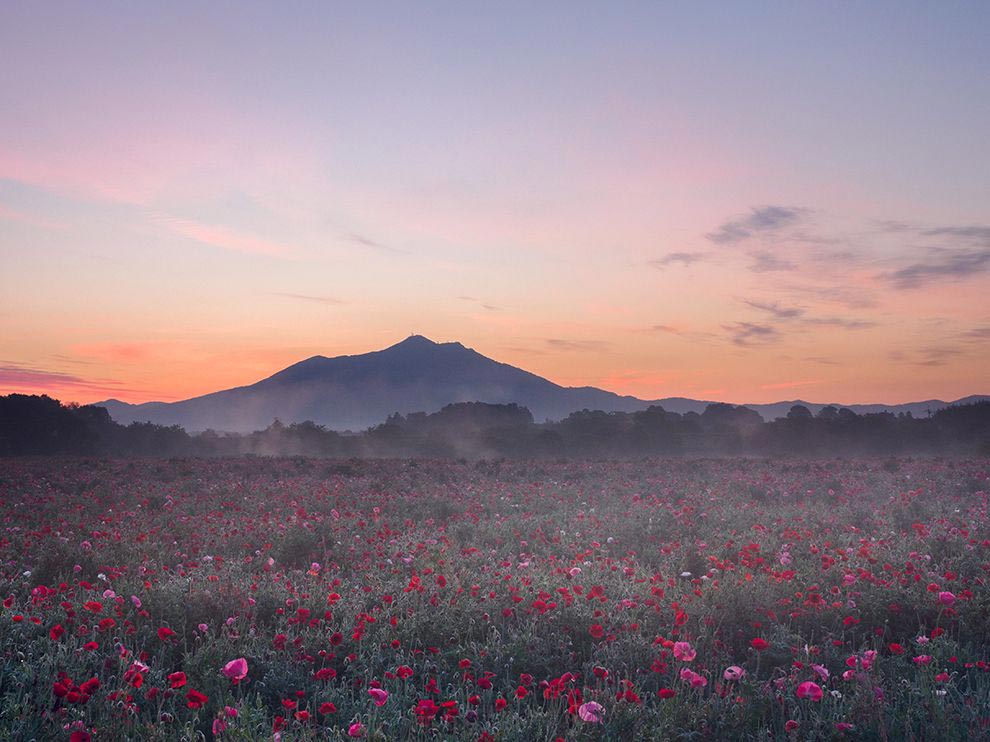 National Geographic, лучшие фотографии National Geographic, National Geographic за июнь 2015