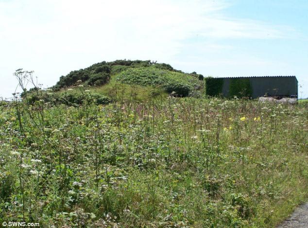 превратила бункер в дом, женщина бункер второй мировой в дом, из бункера в дом