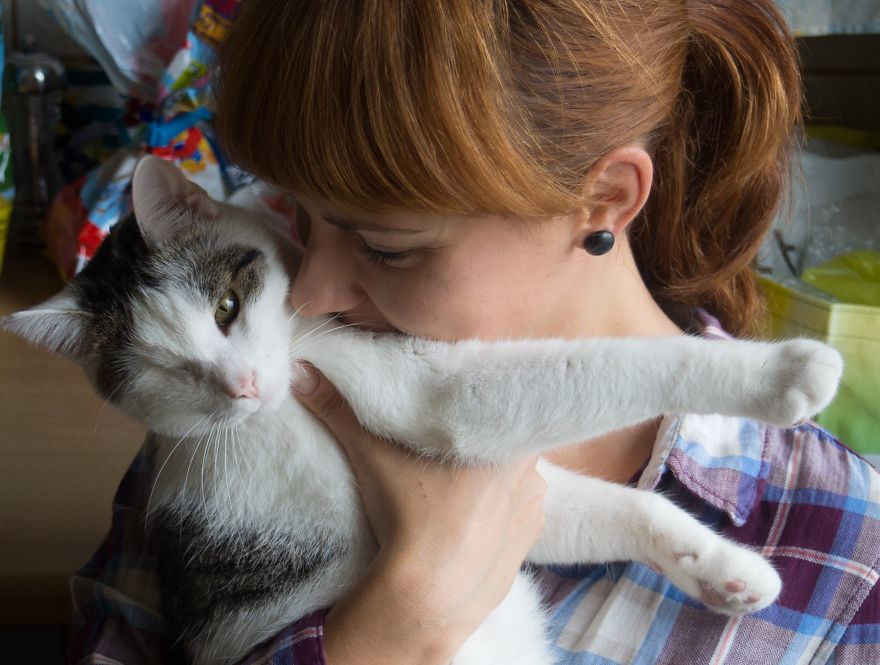 Пират одноглазый кот, спасённый одноглазый кот