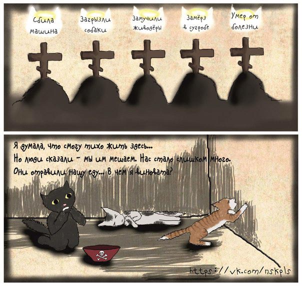стерелизация животных, комикс о том как важно стерилизовать животных