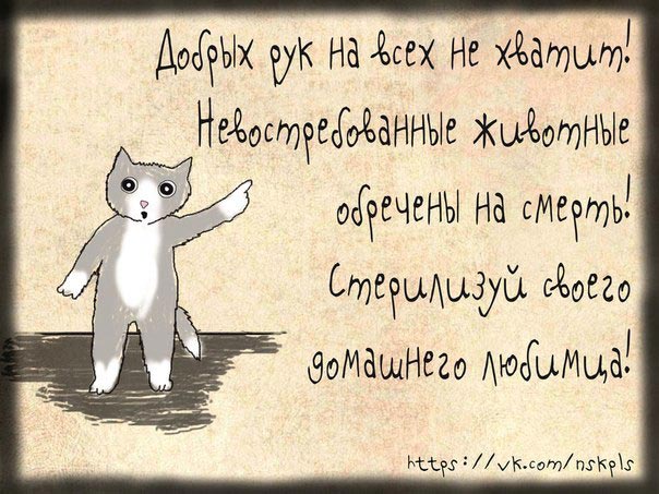 стерелизация животных, комикс о том как важно стерилизовать животных