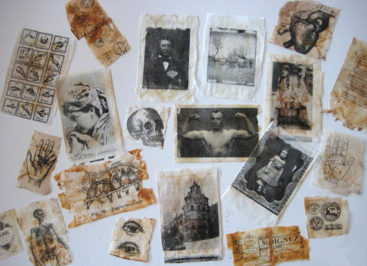 повторное использование чайных пакетиков, чайный пакетик