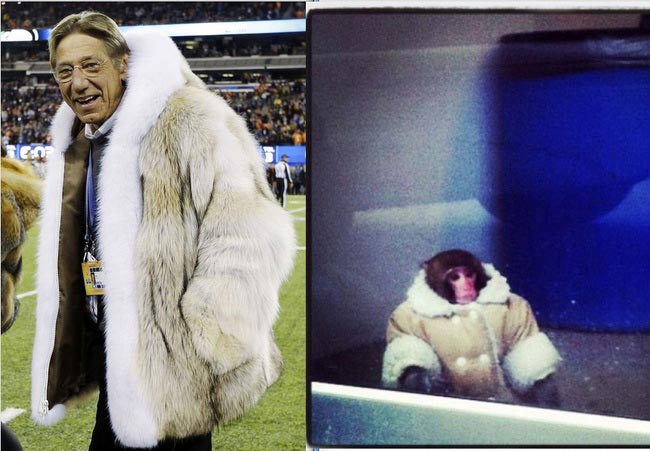 на ком это смотрится лучше, кому это больше идет, стиль знаменитостей похож на всё что угодно, стиль звезд похож на разные вещи