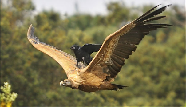 лентяи уровня, ленивые люди, лень