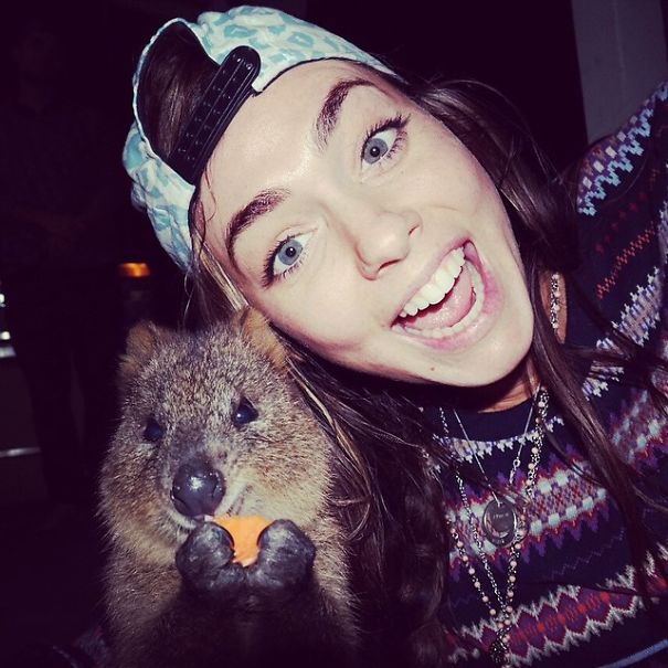 Селфи с квоккой, #quokkaselfie, Quokka Selfie