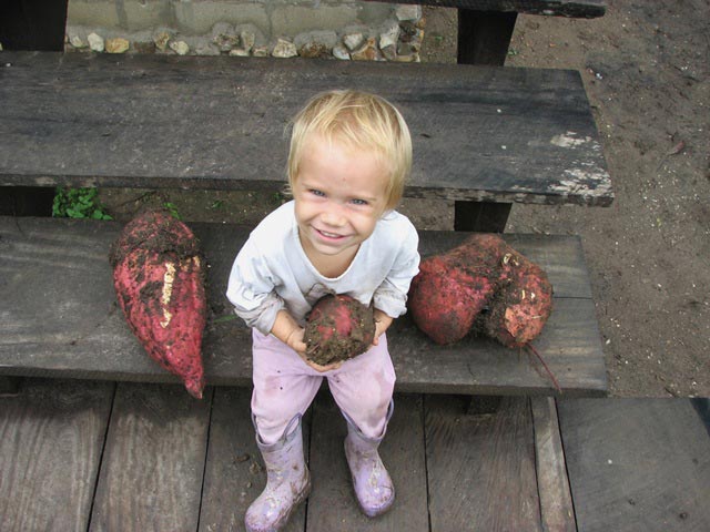 продукты для сохранения красоты и молодости, продукты улучшающие здоровье