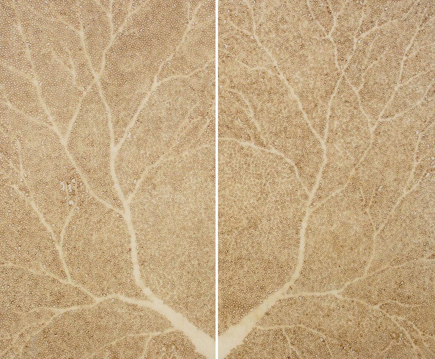 художник прожигает бумагу ароматическими палочками, Jihyun Park