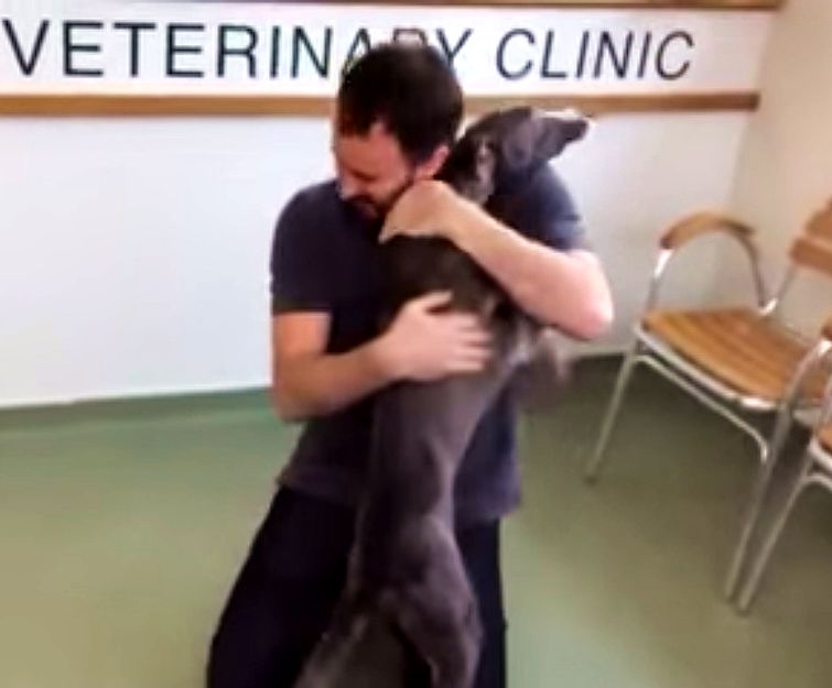 радость украденной собаки, украденная собака встретила хозяина, украденная собака встретилась с хозяином, радость украденной собаки после встречи с хозяином, 