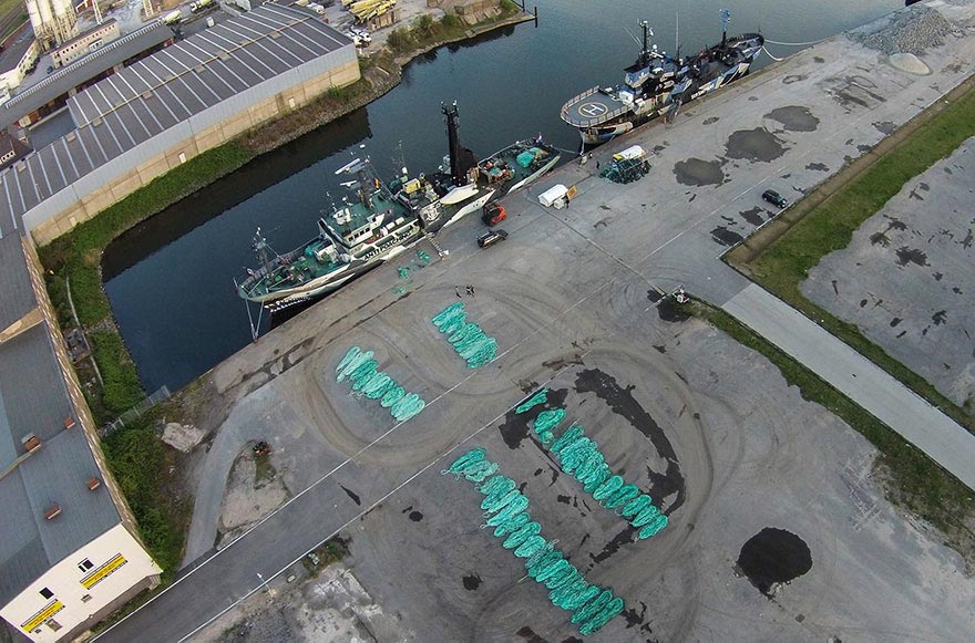 эко-кроссовки Adidas, кроссовки из рыболовных сетей, Adidas браконьерство