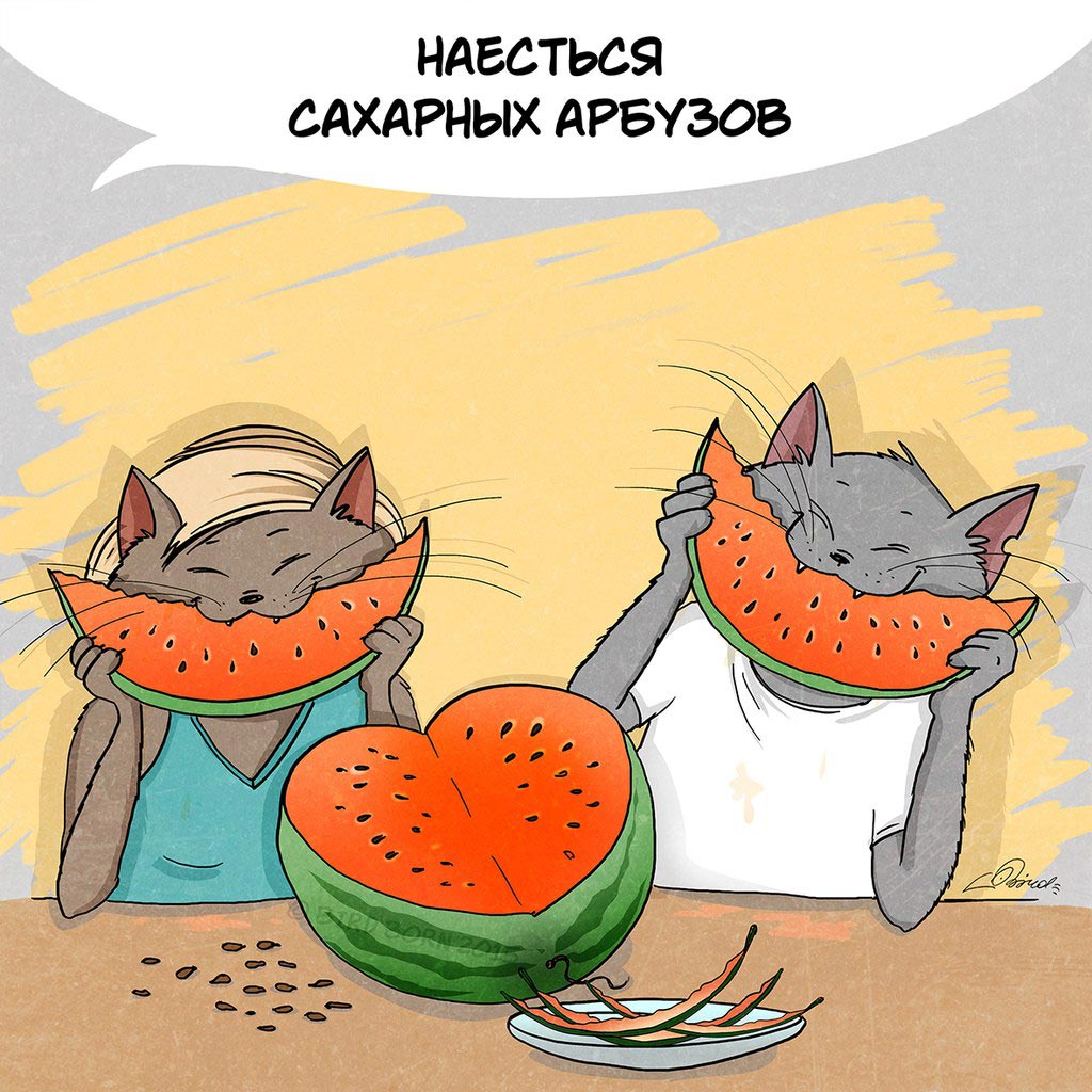 10 вещей, которые нужно успеть сделать пока не закончилось лето что нужно успеть сделать летом, пока не закончилось летом