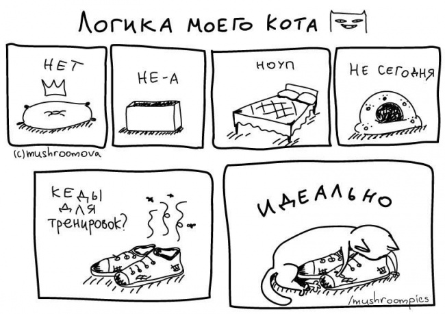 комиксы для котов, смешные комиксы с котами