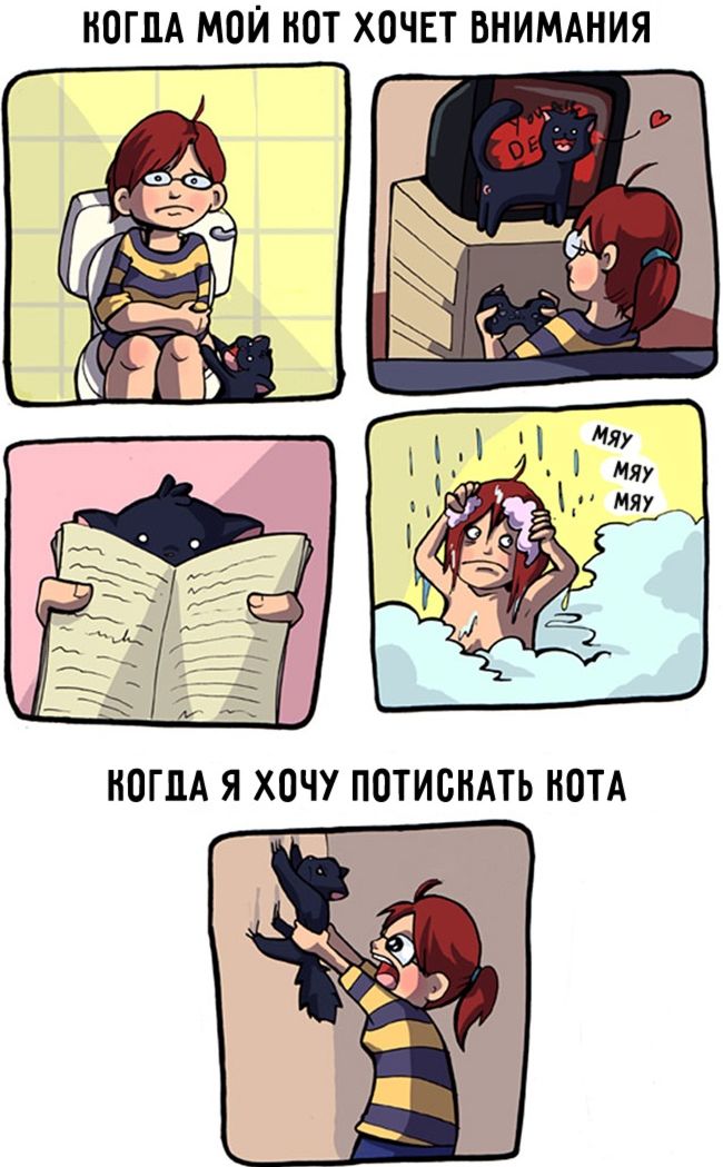 комиксы для котов, смешные комиксы с котами