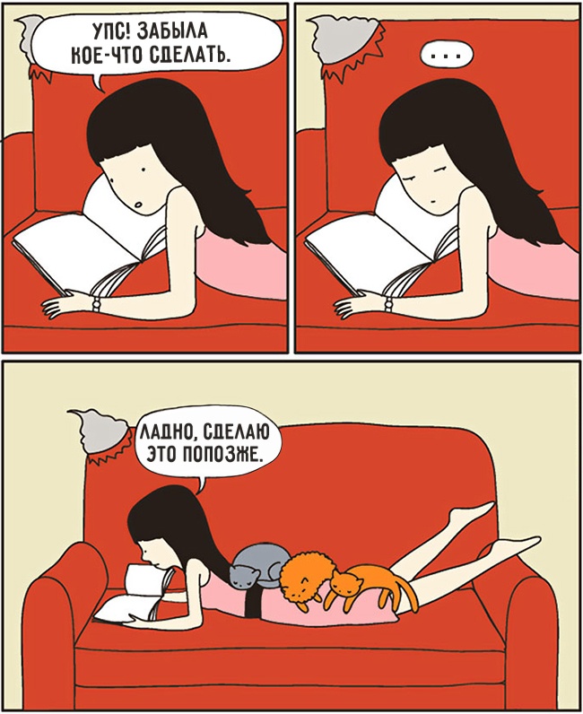 комиксы для котов, смешные комиксы с котами