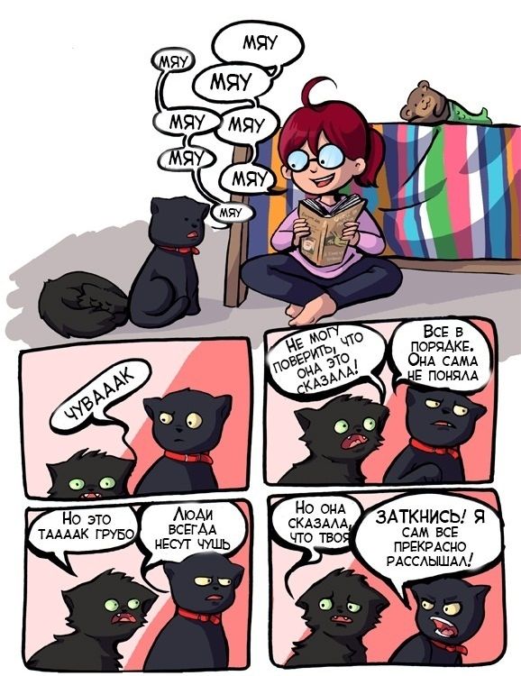 комиксы для котов, смешные комиксы с котами