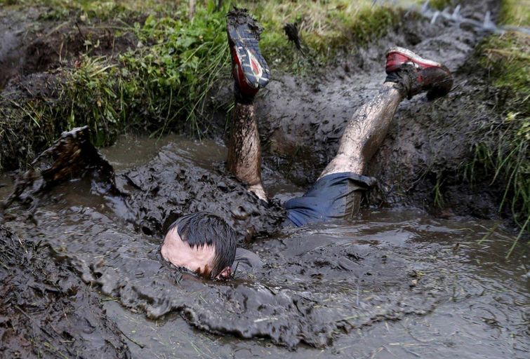 мощные фотографии, самые мощные фотографии недели, обо всём на свете