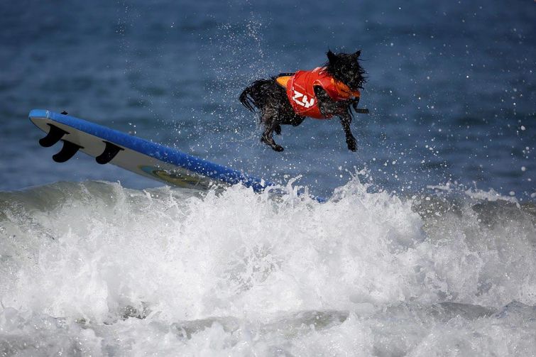 мощные фотографии, самые мощные фотографии недели, обо всём на свете