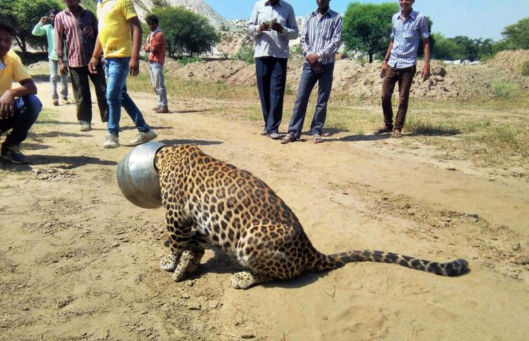 мощные фотографии, самые мощные фотографии недели, обо всём на свете
