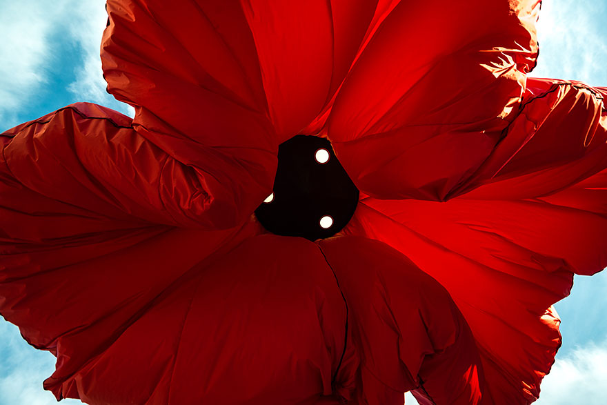 цветочные фонари, фонари в виде цветов в Иерусалиме, Warde Vallero 