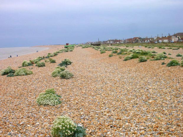 5 вещей, которые могут ухудшать сигнал твоего Wi-Fi вещи ухудшающие сигнал Wi-Fi, что может ухудшать сигнал Wi-Fi, ухудшают сигнал роутера