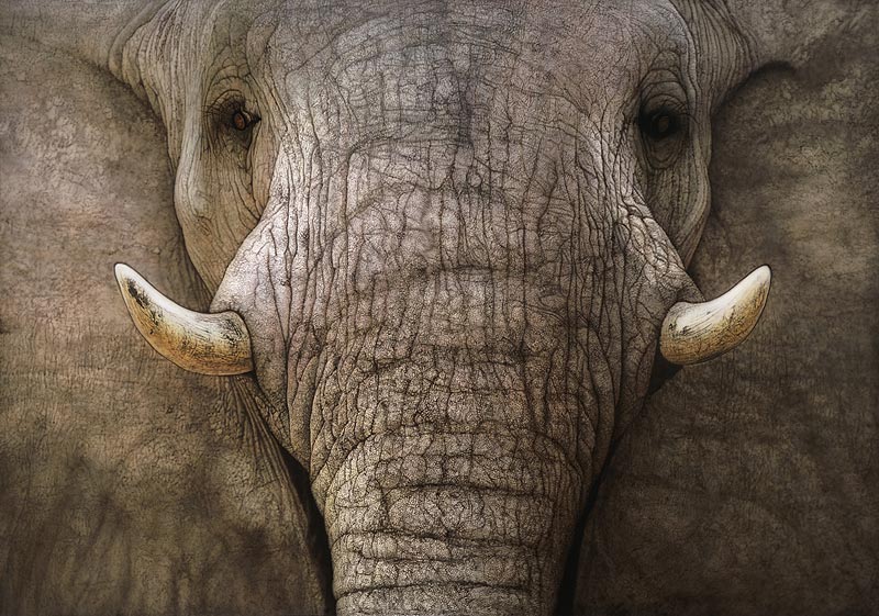 фотография или картина, гиперреализм, фотореализм, реалистичные картины