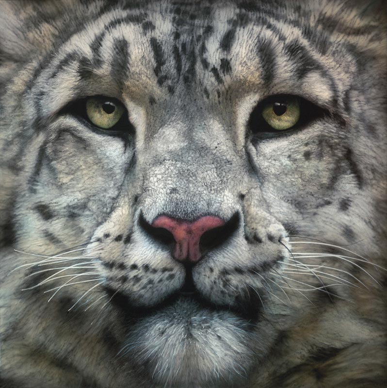 фотография или картина, гиперреализм, фотореализм, реалистичные картины