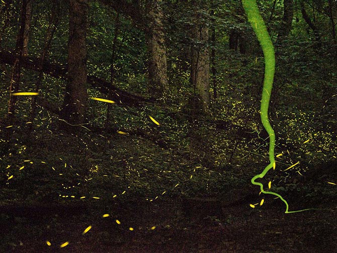 National Geographic за февраль 2015, лучшие фотографии National Geographic