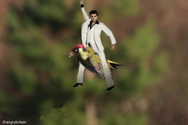 фотожабы полет дятла с лаской, самые смешные фотожабы дятел с лаской, дятел с лаской смешное, путин на дятле