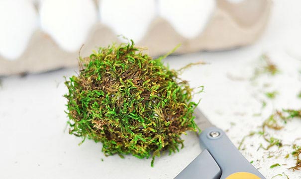 идеи к Пасхе, покрасить яйца к пасхе, как украсить яйца к пасхе