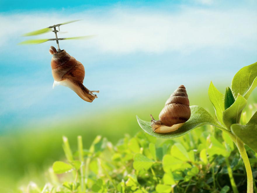 реальные желания предметов быта, Эран Кройтору, Eran Croitoru