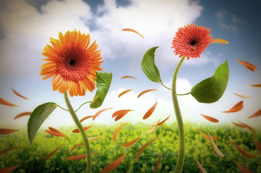 реальные желания предметов быта, Эран Кройтору, Eran Croitoru