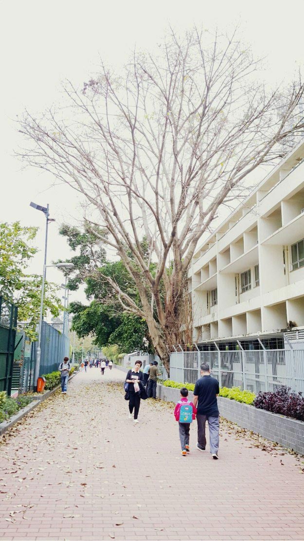 Ад для перфекциониста, несовершенный мир, не идеальные вещи 